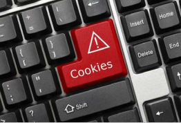 Taking a Nibble out of Internet Cookies – Managing Organizational Risk